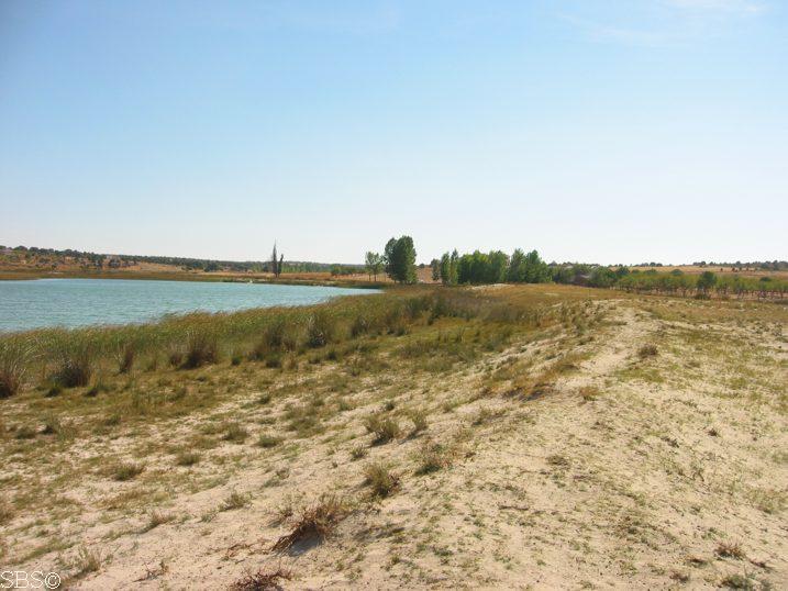 Dunas de la Laguna Blanca