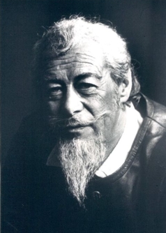 Don Quijote en Cañamares